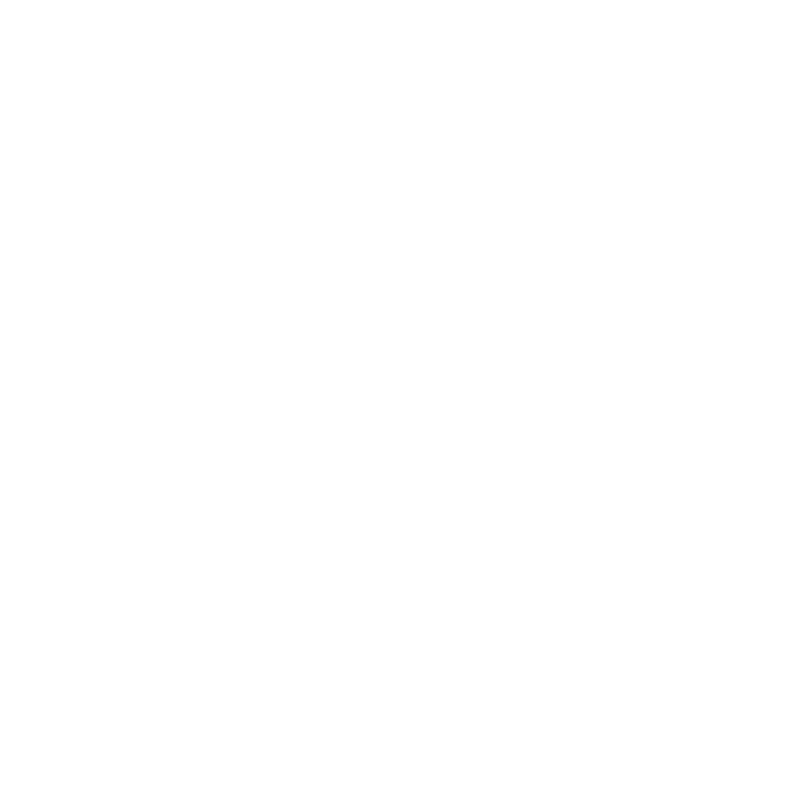 BDMGWT